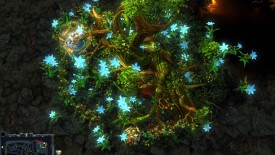 heroes of newerth free to play