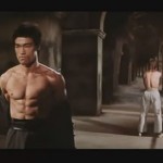 bruceleevschucknorris bruceleevschucknorris